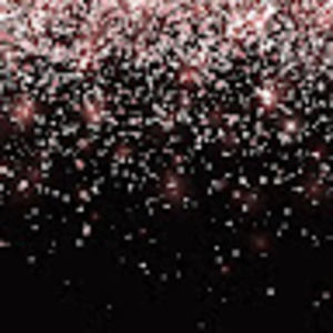 Meet your Posher, Bryanna